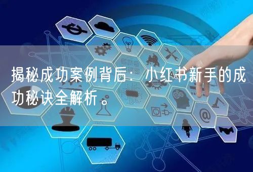 揭秘成功案例背后：小红书新手的成功秘诀全解析。