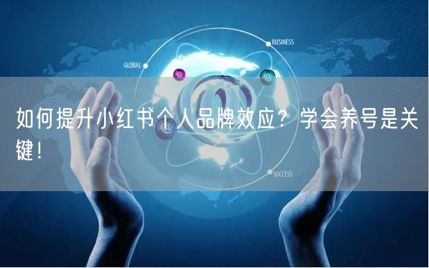 如何提升小红书个人品牌效应？学会养号是关键！