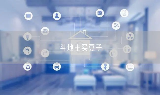 斗地主买豆子