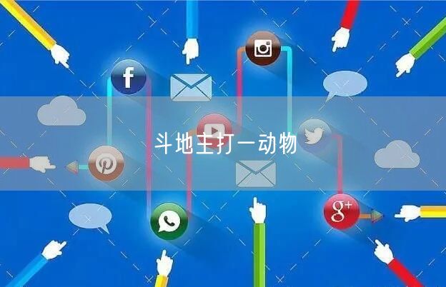 斗地主打一动物